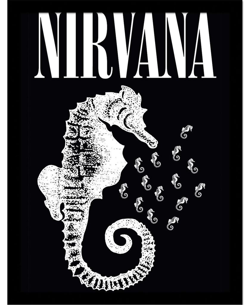 Nirvana - Seepferdchen Gerahmtes Poster PM13581 (40 cm x 30 cm) (Schwarz/Weiß)