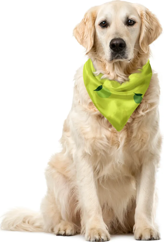 ABAKUHAUS Bandana per animali domestici Limette, silhouette di agrumi, 55x55 cm, verde lime verde mela