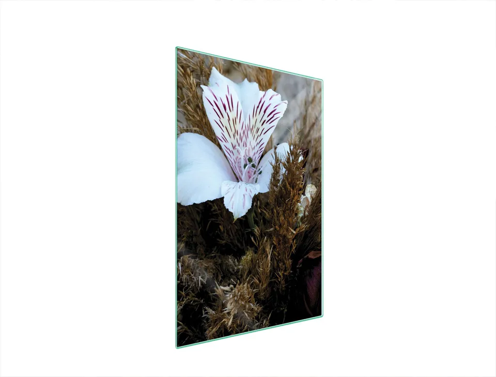 Tagliere Vetro 35x52 Orchidea: Smettila di Rovinare il Piano Cucina!