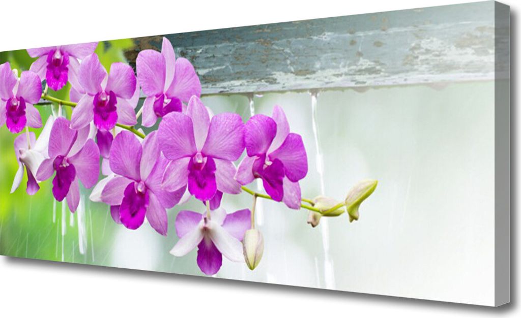 Tulup Leinwand-Bilder 125x50 Wandbild Canvas Kunstdruck Blumen Pflanzen