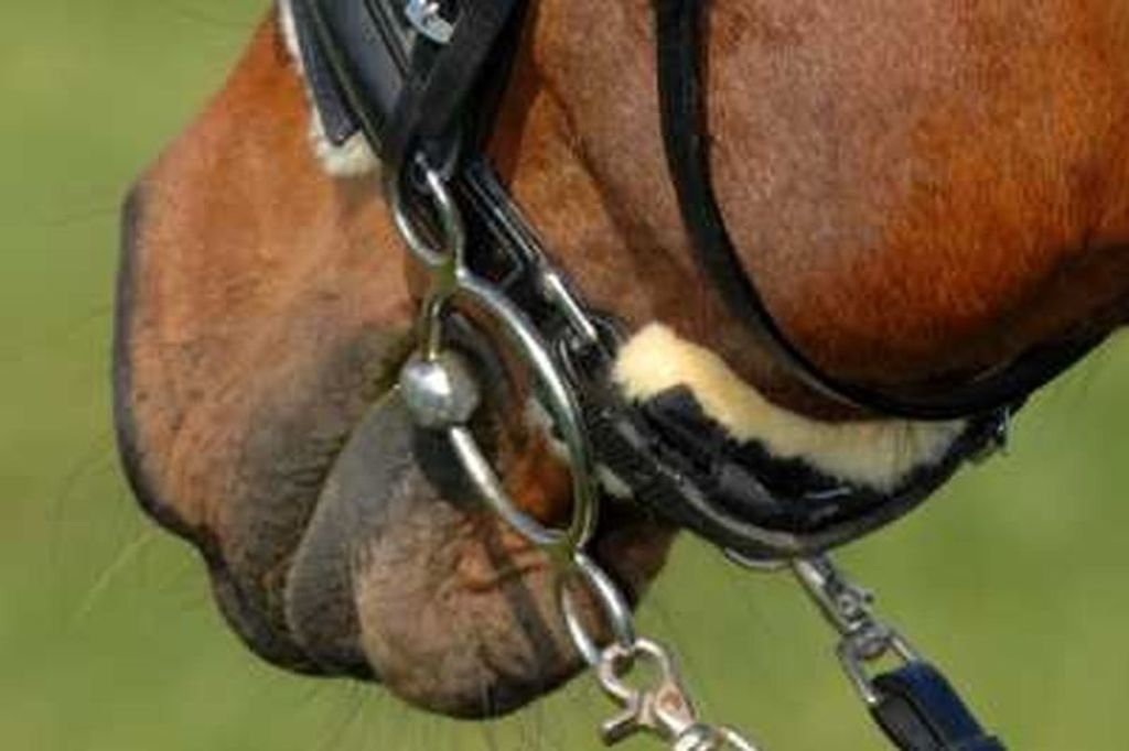 CHRIST Kinnkettenschoner medizinisches Lammfell, Größe:5x14, Farbe:braun