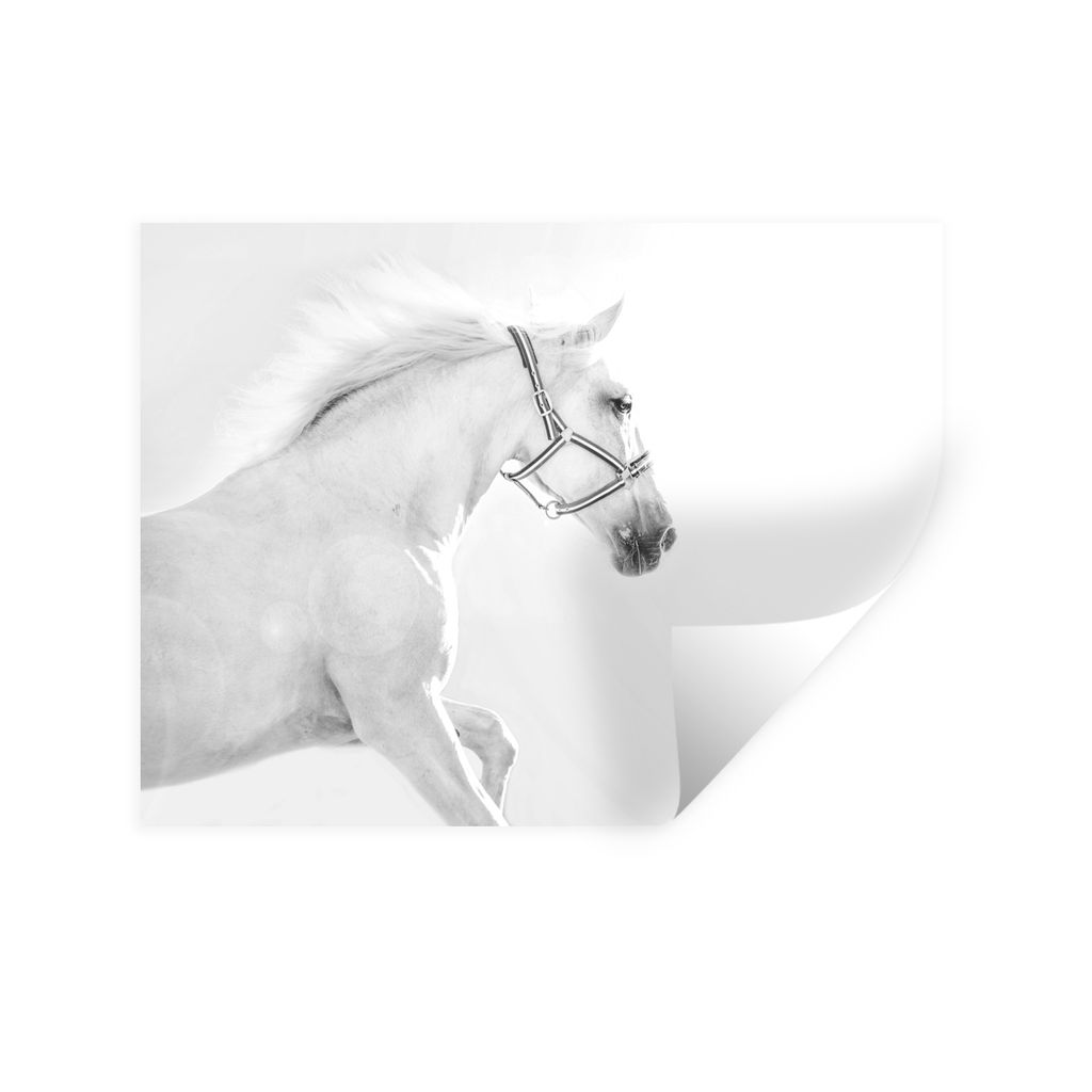 MuchoWow Wandtattoo Wandsticker Wandaufkleber Pferd - Weiß - Mähne 120x90 cm Selbstklebend und Repositionierbar - Aufkleber