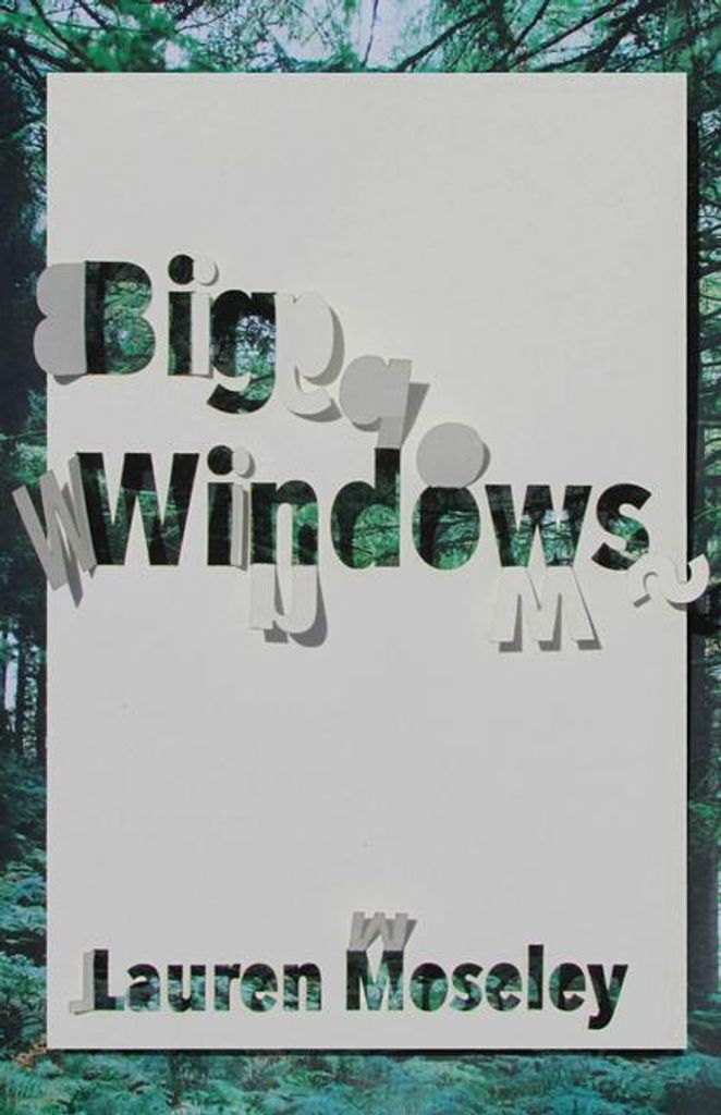 Big Windows