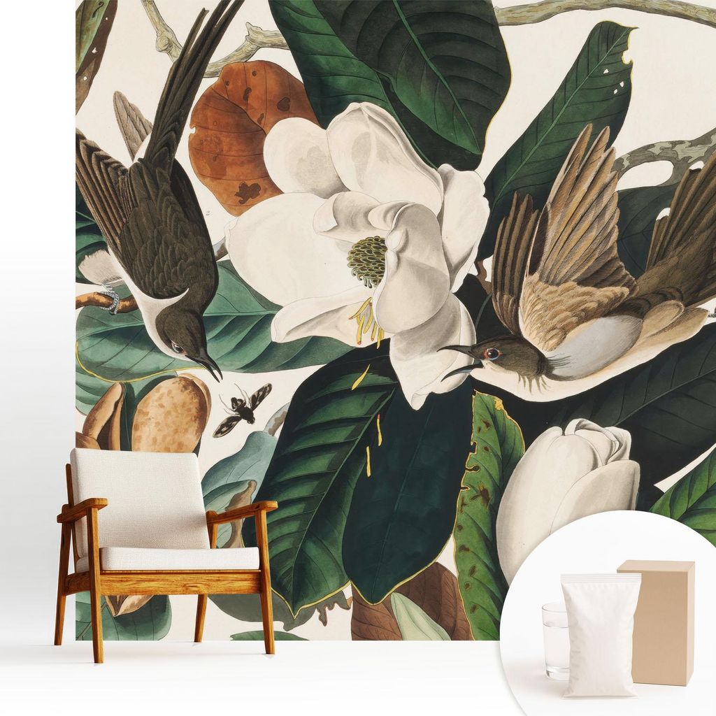 Fototapete - 250x250 cm - Tapete - Wandtapete - Wandbilder - Dekofolie - Tapete Folie - Wand - Dekoration - Wohnzimmer - Vögel Magnolien