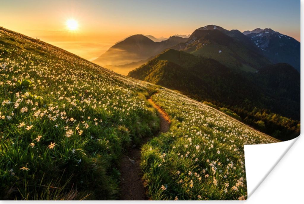 MuchoWow Poster Blumen - Sonne - Berge 90x60 cm - Schlafzimmer