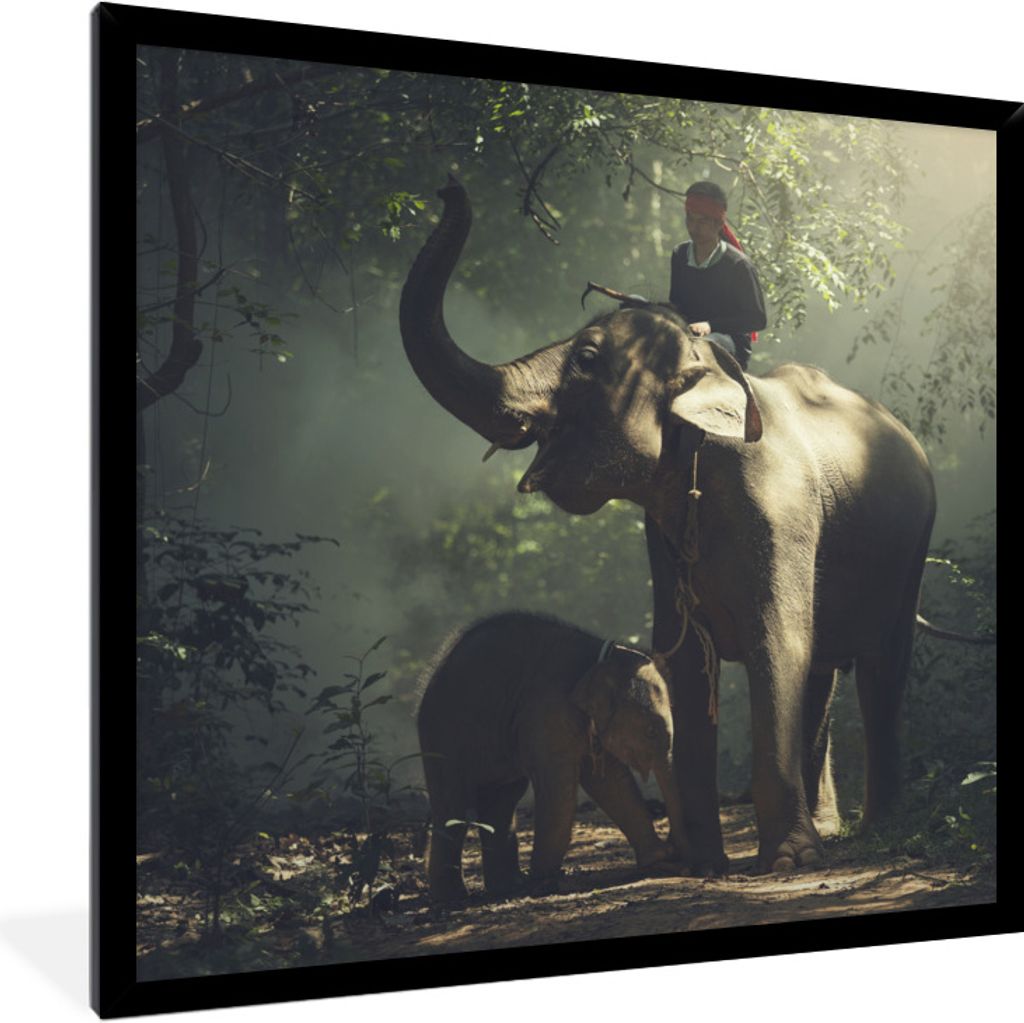 MuchoWow Gerahmtes Poster Elefantentrainer mit einem Elefanten und seinem Baby im Wald 40x40 cm - Poster mit Schwarzem Bilderrahmen Wandposter Ra...