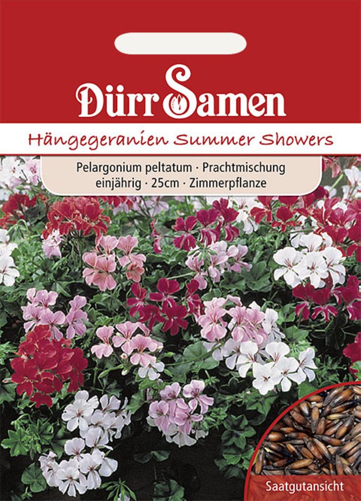 Dürr-Samen - Hängegeranien Mischung F1 einjährig 25 cm - Produktbild 4