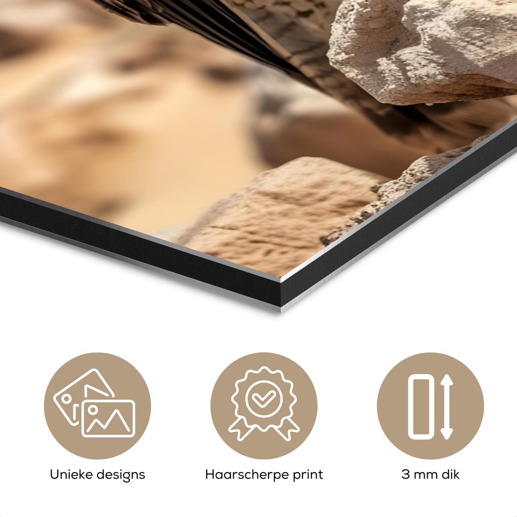 MuchoWow Wanddekoration Metall Metallbild Wandkunst 30x40 cm Falke - Vogel - Fels - Macht MuchoWow Aluminium Gemälde - Bilder