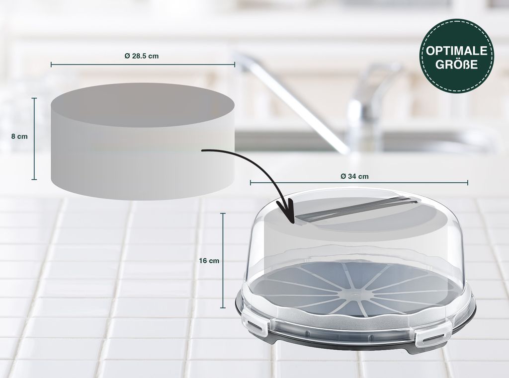 LACOR Runde Kuchenform/Ausstechform – 26 Cm Durchmesser, 4,5 Cm Hoch, Aus Edelstahl