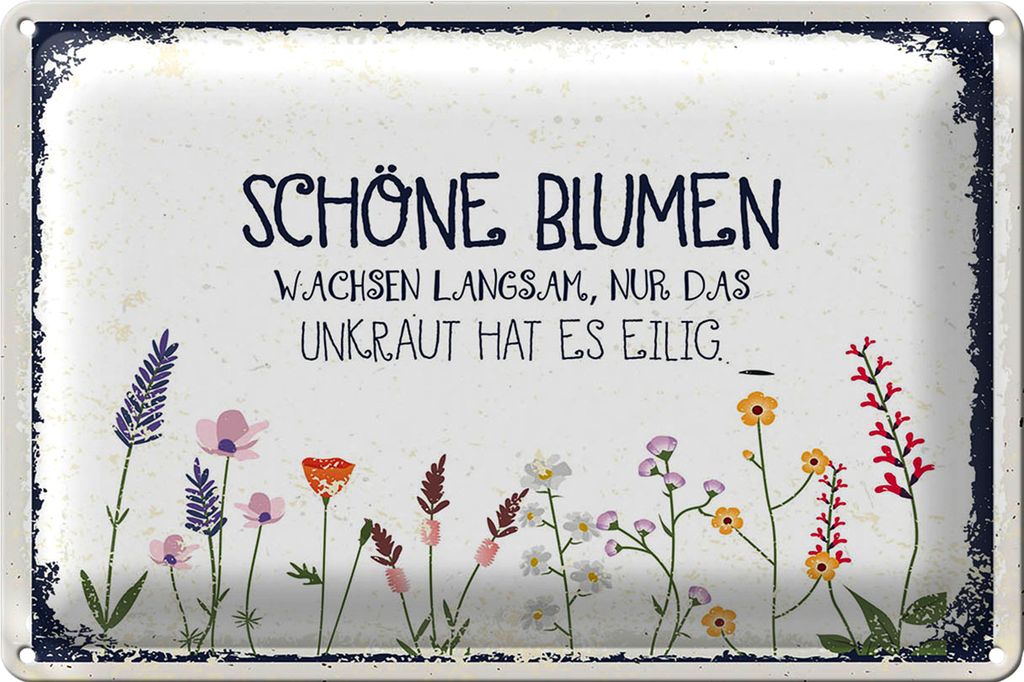 Blechschild Spruch schöne Blumen wachsen langsam 30x20cm