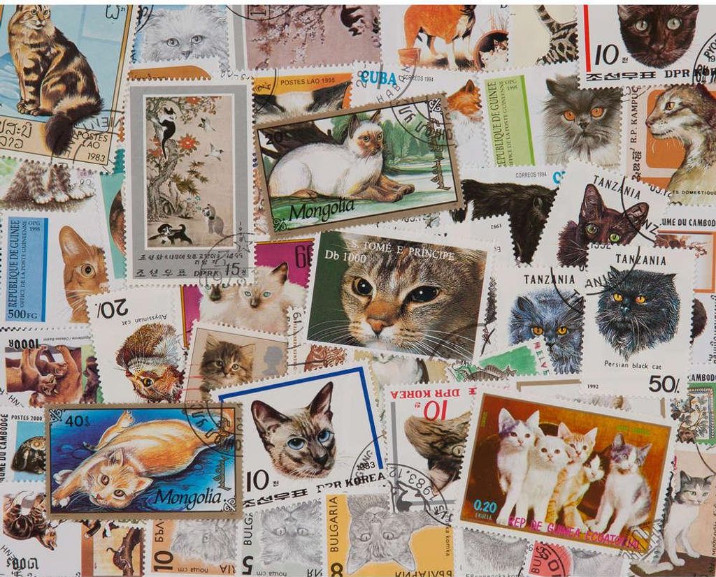 50 Katzen