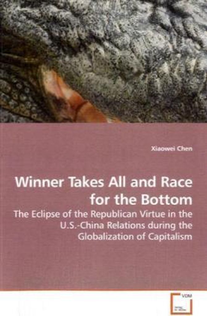 Winner Takes All and Race for the Bottom