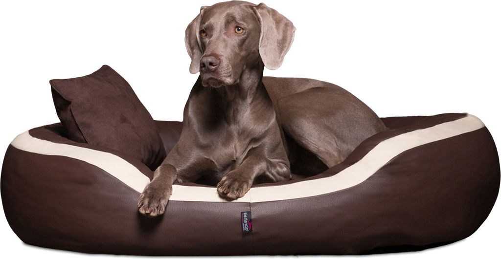 tierlando PEPPER Orthopädisches Hundebett Hundesofa L XL XXL Kunstleder - Größe: 110x85cm | Farbe: 01 Braun