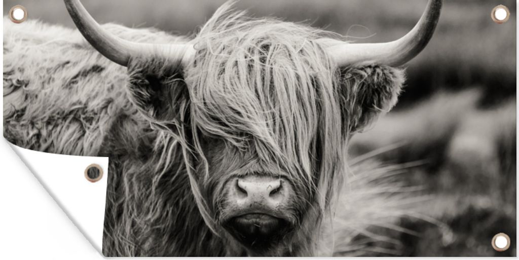 MuchoWow 60x30 cm Outdoor-Poster Gartendeko Sichtschutz Garten Poster für den Garten Schottischer Highlander - Kuh - Tiere - Schwarz-Weiß - Lä...