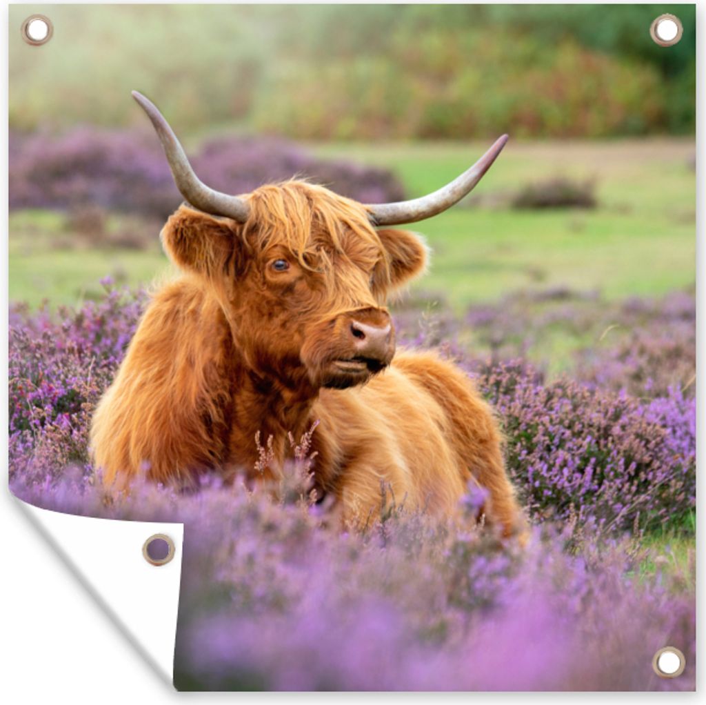 MuchoWow 100x100 cm Outdoor-Poster Gartendeko Sichtschutz Garten Poster für den Garten Schottischer Highlander - Braun - Büsche