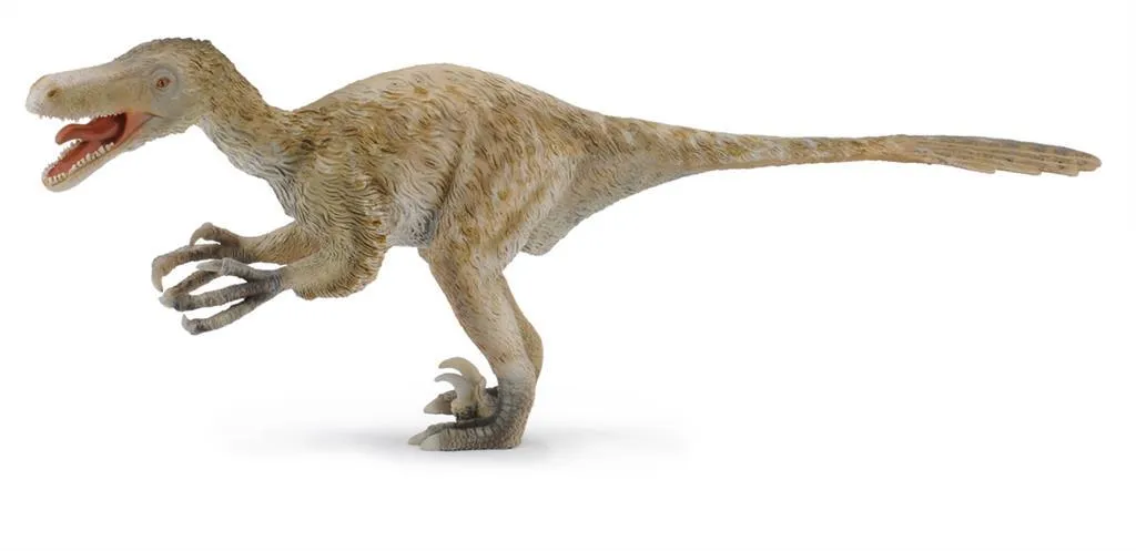 Vélociraptor 1:40 Collecta 88407 Dinosaure Réaliste sans Risque