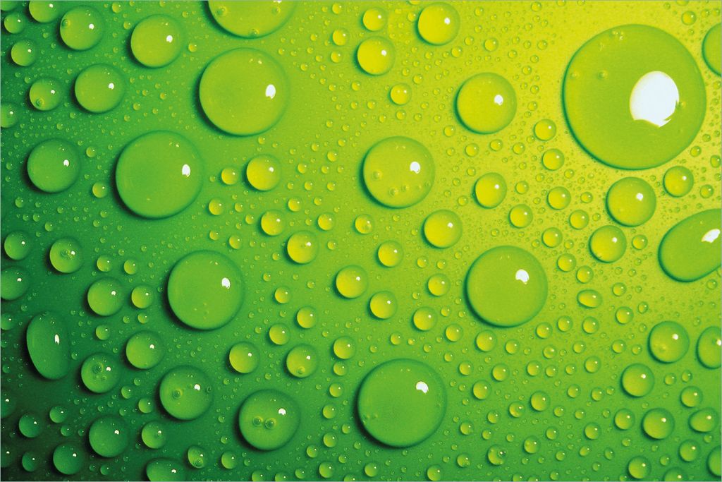 Wallario selbstklebendes Poster - Wassertropfen auf Grün, Größe: 61 x 91,50 cm