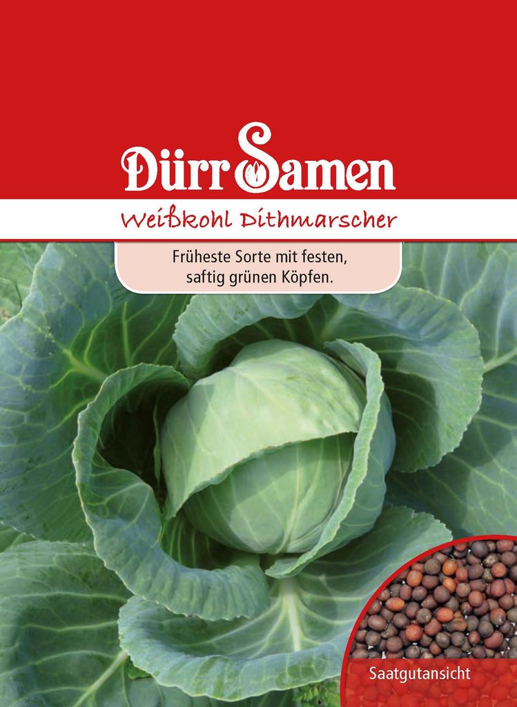 Weißkohl Dithmarscher | Weißkohlsamen von Dürr Samen Produktbild 