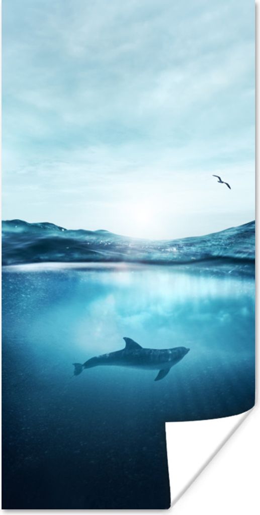 MuchoWow Poster Delfin - Meer - Vogel 80x160 cm - Kinderzimmer