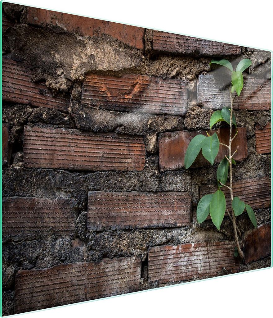 Glasschneidebrett 52x30 Ziegel