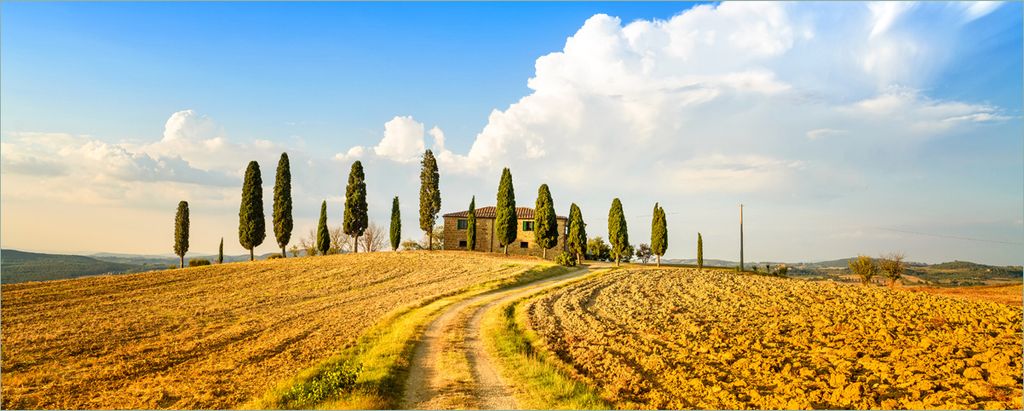 Wallario Poster - Italien - Toskana unter blauem Himmel einsame Farm, Kunstdruck Größe: 80 x 200 cm