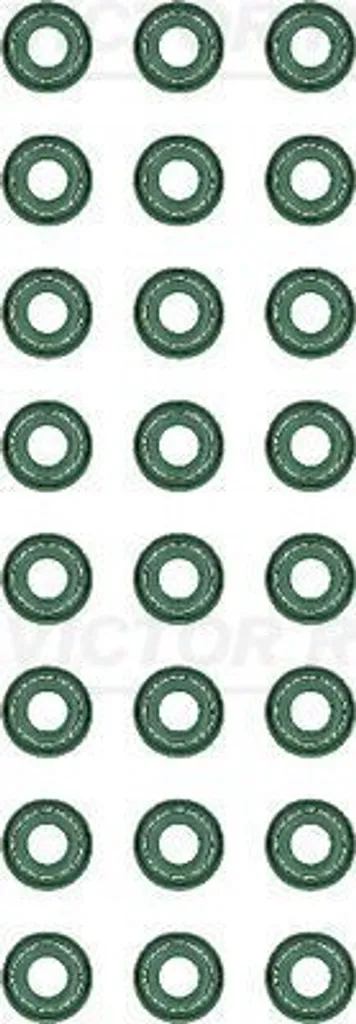 Kit joints de tige de soupape REINZ 12-27408-04 pour moteur LAZ LEMBERG