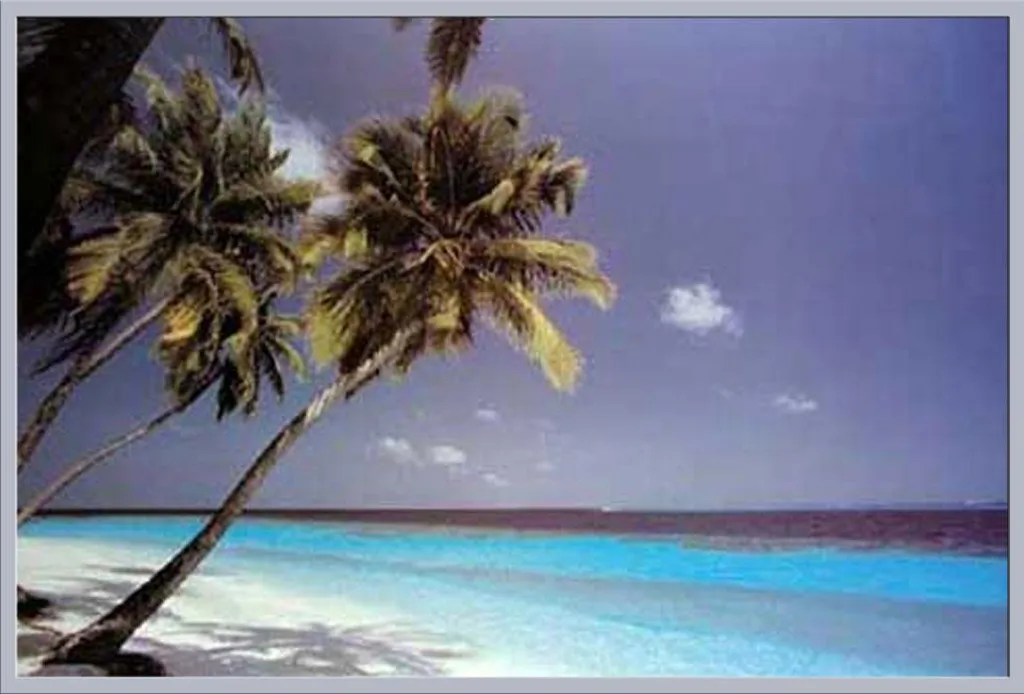 Cadre Photo avec Affiche Plage et Mer Argent Brillant Shinsuke Maxi 61cm