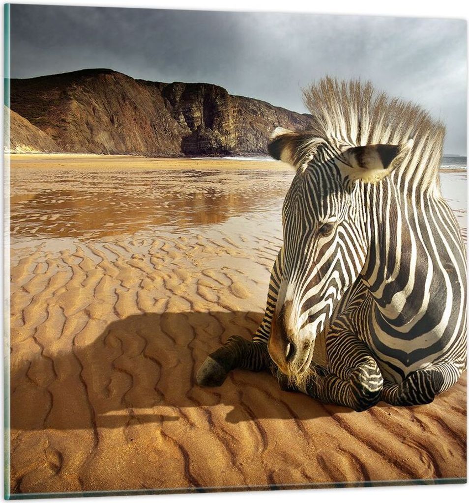 Bilder auf glas - Zebra Strand Landschaft - 60x60cm - Glasbilder - Wandbilder - Kunstdruck - zum Aufhängen bereit - Wanddekoration aus Glas - Glas...