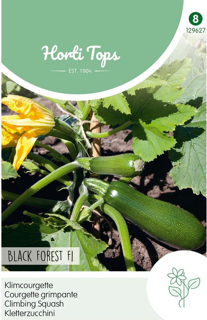 Saatgut Zucchini Black Forest F1 (kletternd)
