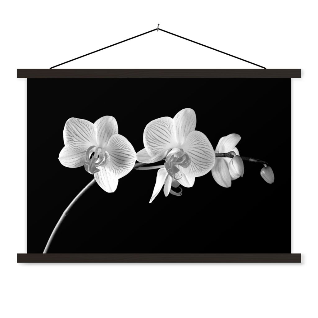 MuchoWow Textilposter Orchidee - Blumen - Schwarz - Rosa - Knöpfe 150x100 cm mit schwarzem Rahmen - Schlafzimmer