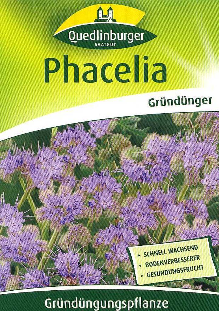 Phacelia 300 g | Phaceliasamen von Quedlinburger