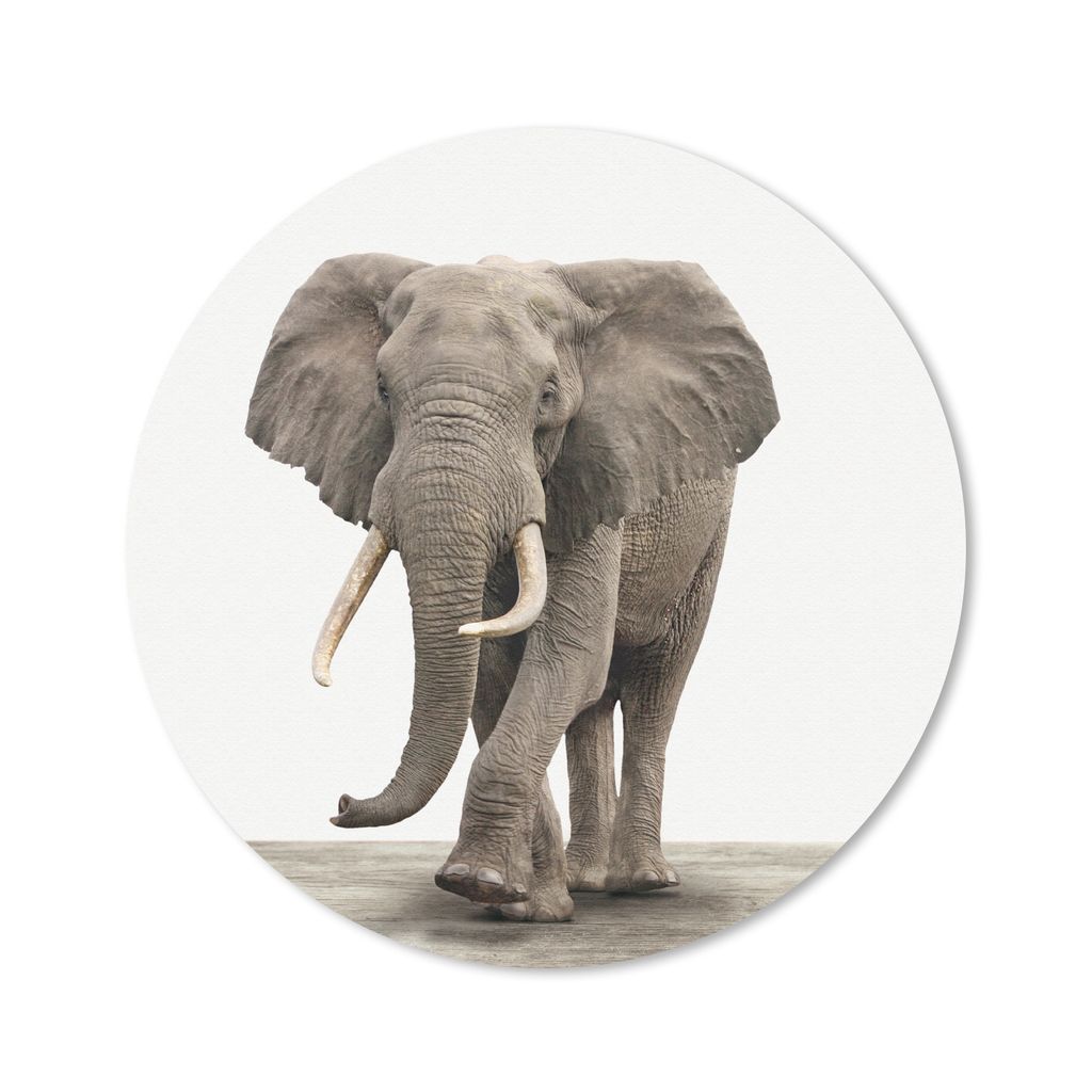 MuchoWow Mauspad Mousepad Tiere - Elefant - Grau 50x50 cm - Mousepads - Maus Mat - Pad - Mausunterlage - Vinyl
