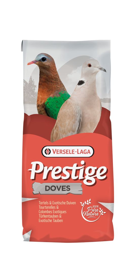 Prestige Tauben - Exotische Tauben - 20 kg