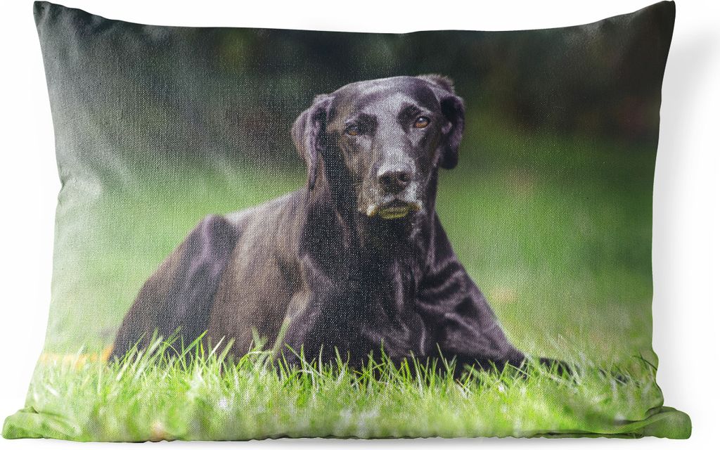 MuchoWow Outdoor Kissen - Ein schwarzer Labrador im Gras - 50x30 cm - Wetterfest - Lounge Kissen - Sofa kissen - Wohnzimmer Dekoration