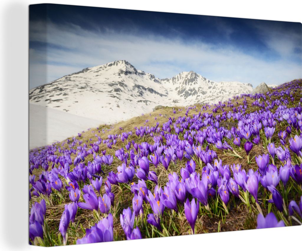 OneMillionCanvasses - Leinwandbilder - 150x100 cm, Berge - Schnee - Blumenwiese, Wandbilder Kunstdruck Wanddekoration