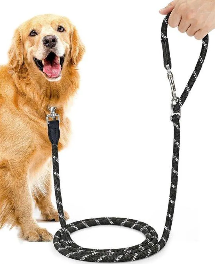 Laisse mains libres réglable 3m avec coutures réfléchissantes chien