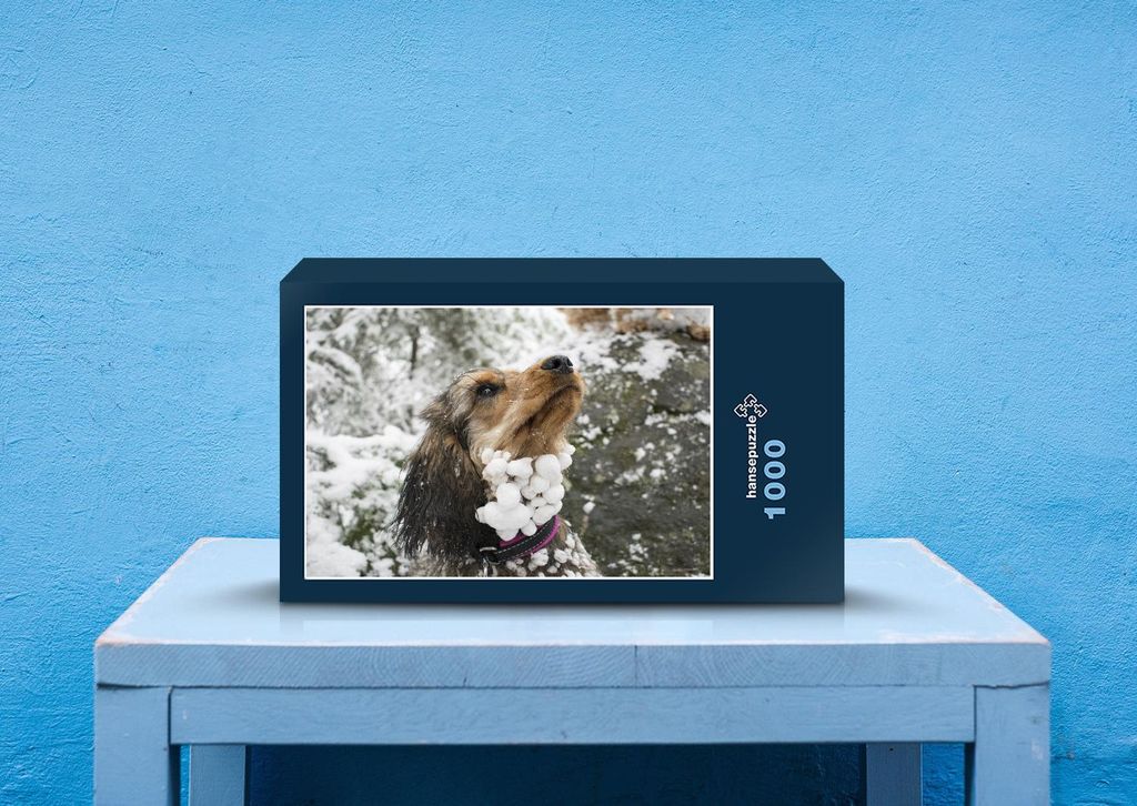hansepuzzle 42698 - Hund Puzzle, 1000 Teile, Tierwelt, 60,0 x 46,0cm mit hochwertiger Aufbewahrung, Kartonbox und wiederverschließbarem Beutel