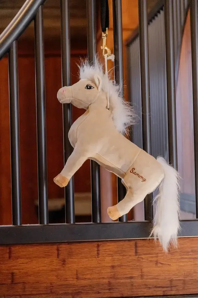 Jouet pour cheval résistant Kentucky Relax Sammy matière durable