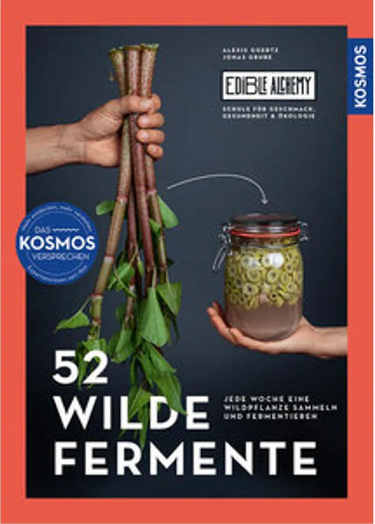 Réussir ses fermentations sans moisissures avec 52 wilde Fermente