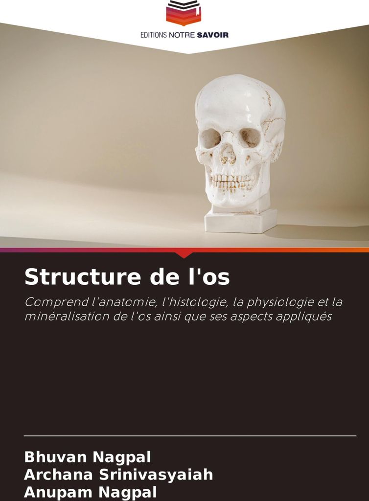 Structure de l'os