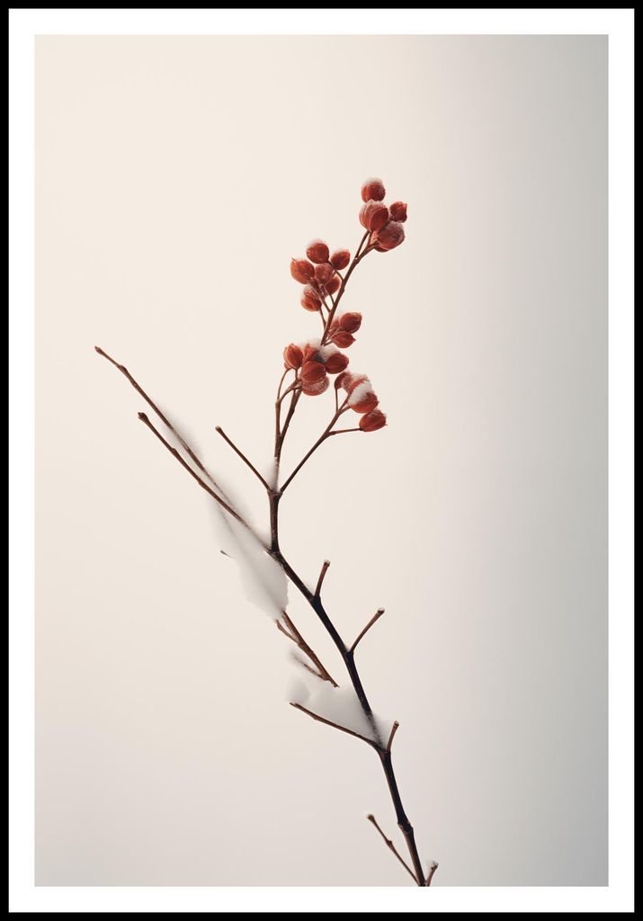 Plakat 68x101cm Subtile Kraft des Winters