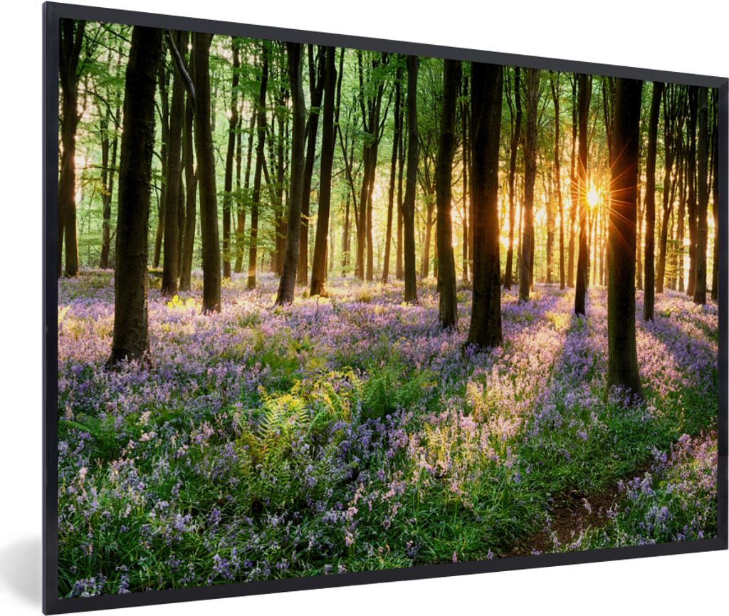 MuchoWow® Gerahmtes Poster Wald - Blumen - Lavendel - Sonne Produktbild 