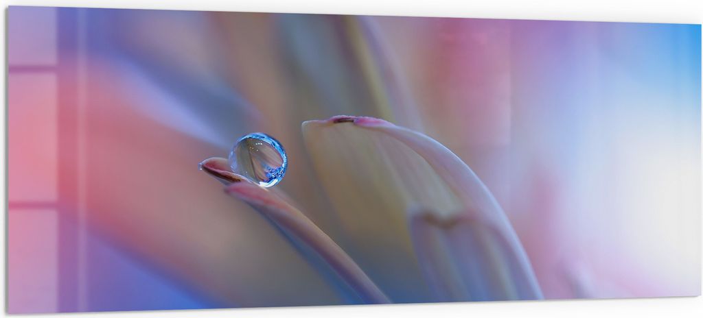 DEQORI Küchenrückwand Glas 125x50 cm 'Reine Harmonie' Spritzschutz Bad Rückwand Küche