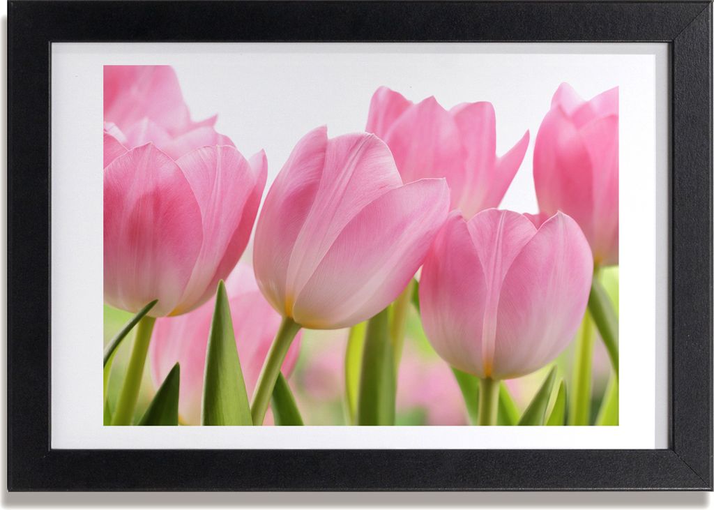Bild 30x20 MDF-Rahmen, Wandkunst rosa Tulpen