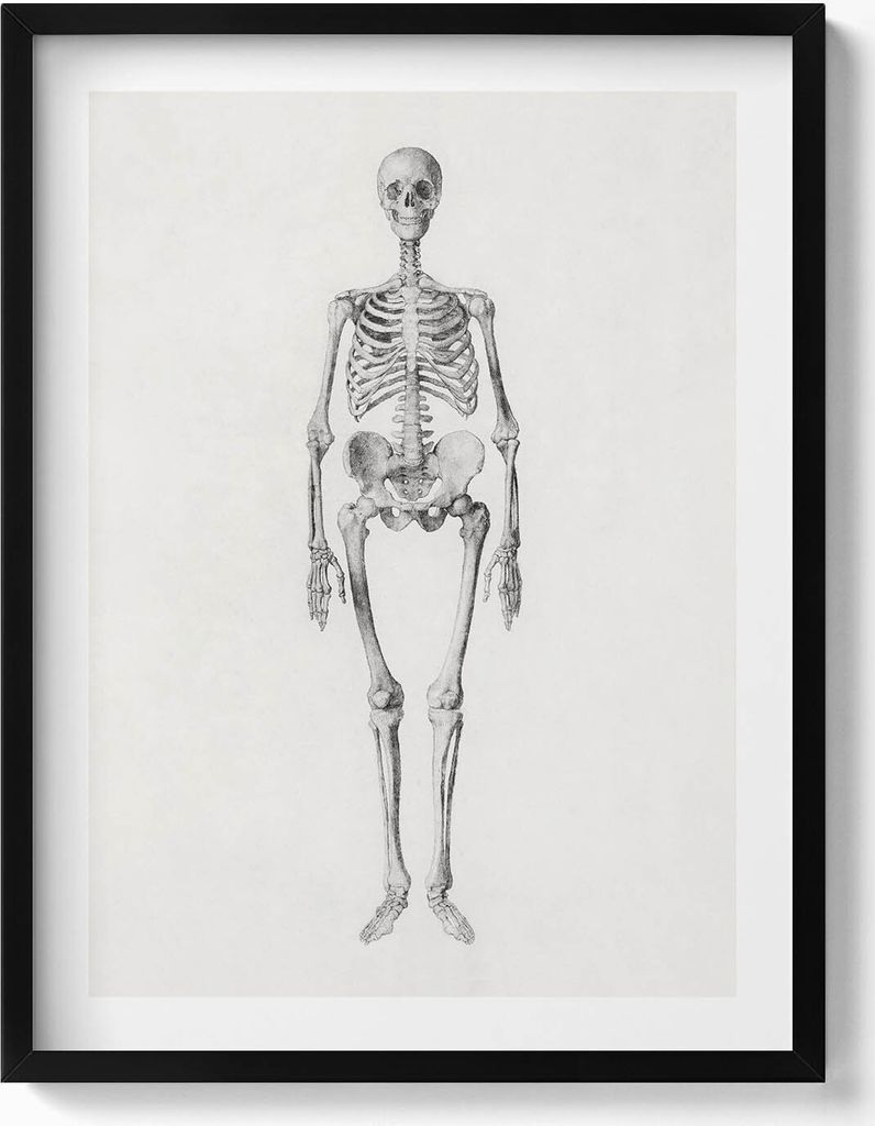 Skizze eines Skeletts– Wandbild mit Rahmen – Gerahmtes Bild – Wanddekoration – 60x80 cm – Schwarz Rahmen