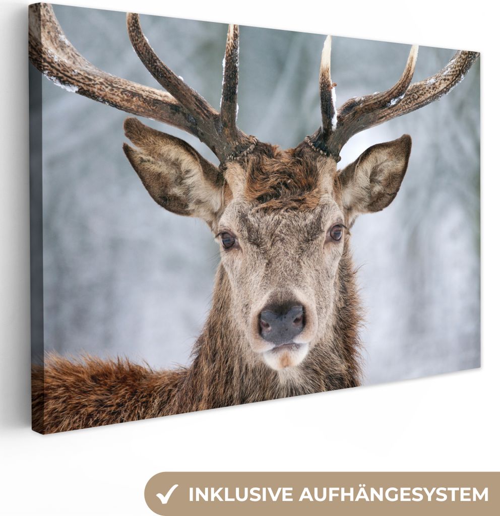 MuchoWow - Leinwandbilder - Hirsche - Geweihe - Schnee, Wandbild, Wanddeko Bilder Wohnzimmer, 120x80 cm