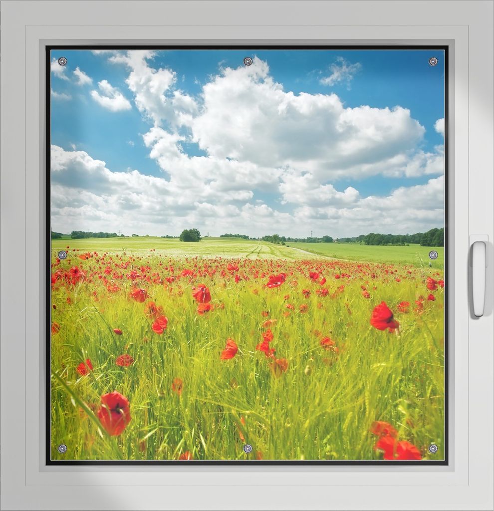 Wallario Lichtschutzbild, Dekorativer Sichtschutz Sonnenschutz 96 x 100 cm mit Motiv: Grüne Wiese mit Mohnblumen - Verdunklung ohne Bohren