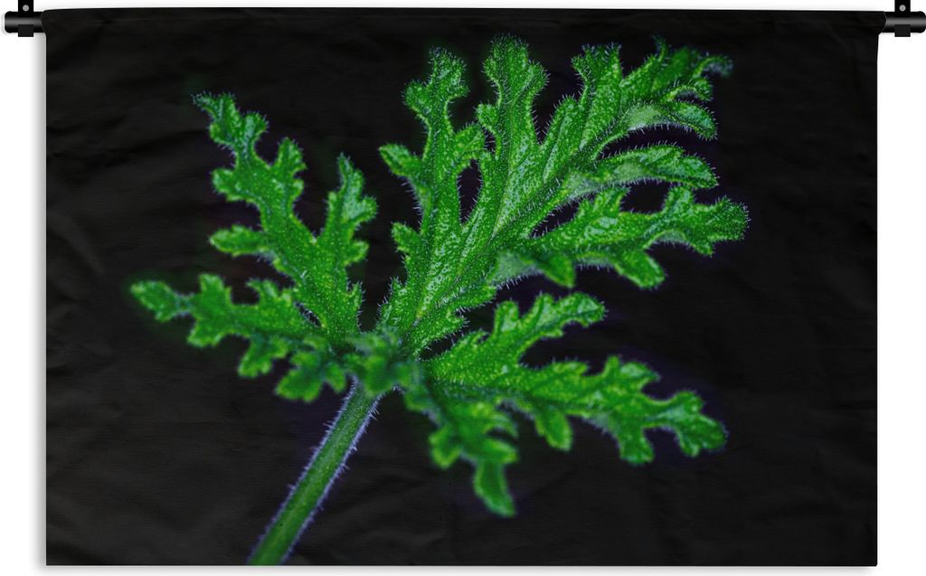 MuchoWow Wandteppich Wandbehang Einzelne grüne Blätter auf schwarzem Hintergrund 60x40 cm Tapisserie Dekoration Wandtuch - Wanddekorationen