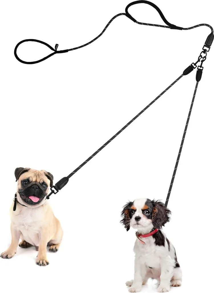 Accouple de laisse pour petits chiens en nylon réfléchissant sécurisé
