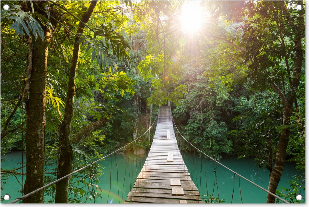 MuchoWow 90x60 cm Outdoor-Poster Gartendeko Sichtschutz Garten Poster für den Garten Dschungel - Wasser - Brücke - Natur - Pflanzen